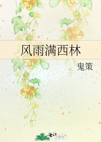 风雨满西林